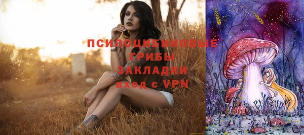 соль ск Горнозаводск