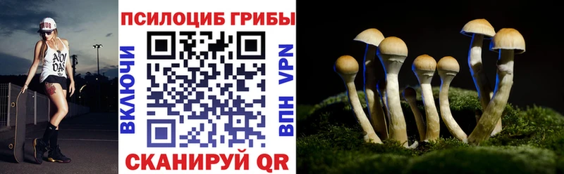 Купить закладки  Краснокамск  Галлюциногенные грибы Cubensis 